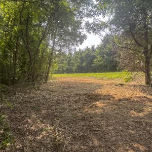 Photo #10 of Off Goodman Road, Lot 4, Pelham, NC 4.5 acres