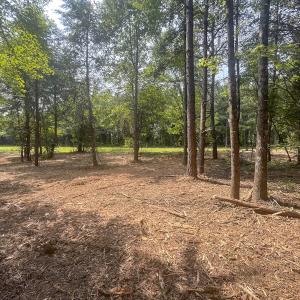 Photo #15 of Off Goodman Road, Lot 4, Pelham, NC 4.5 acres