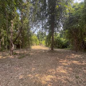 Photo #18 of Off Goodman Road, Lot 4, Pelham, NC 4.5 acres