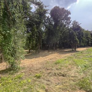 Photo #25 of Off Goodman Road, Lot 4, Pelham, NC 4.5 acres