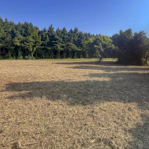 Photo #6 of Lot-5, Off Goodman Road, Pelham, NC 7.4 acres