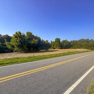 Photo #11 of Lot-5, Off Goodman Road, Pelham, NC 7.4 acres