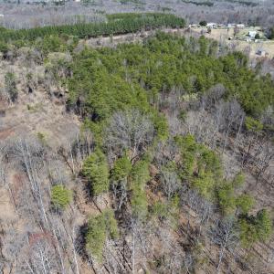 Photo #13 of Lot-5, Off Goodman Road, Pelham, NC 7.4 acres