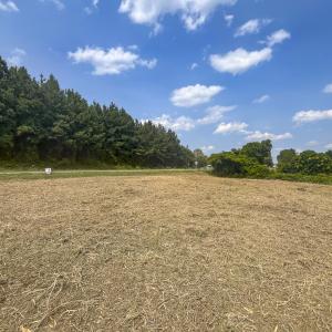 Photo #14 of Lot-5, Off Goodman Road, Pelham, NC 7.4 acres