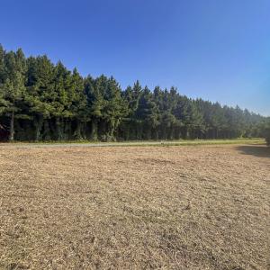 Photo #18 of Lot-5, Off Goodman Road, Pelham, NC 7.4 acres