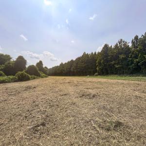 Photo #9 of Off Goodman Road, Lot-6, Pelham, NC 8.6 acres