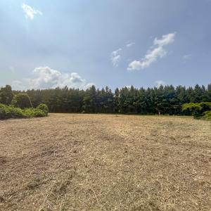 Photo #15 of Off Goodman Road, Lot-6, Pelham, NC 8.6 acres