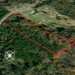 Photo #21 of Off Goodman Road, Lot-6, Pelham, NC 8.6 acres