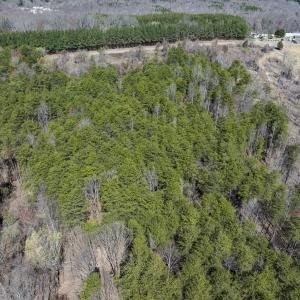 Photo #23 of Off Goodman Road, Lot-6, Pelham, NC 8.6 acres