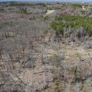 Photo #33 of Off Goodman Road, Lot-6, Pelham, NC 8.6 acres