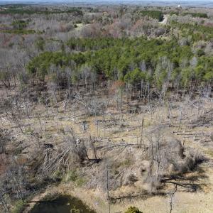 Photo #40 of Off Goodman Road, Lot-6, Pelham, NC 8.6 acres