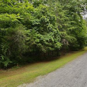 Photo #10 of 1535 Wildwood Drive, Oxford, NC 1.9 acres