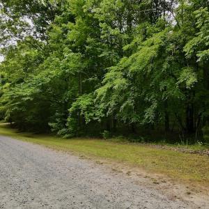 Photo #11 of 1535 Wildwood Drive, Oxford, NC 1.9 acres