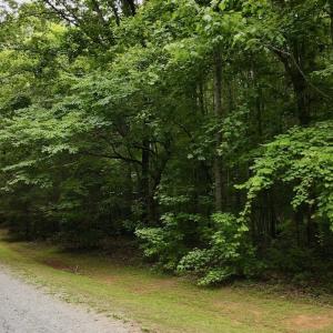 Photo #13 of 1535 Wildwood Drive, Oxford, NC 1.9 acres
