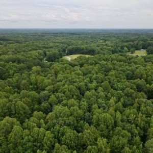 Photo #14 of 1535 Wildwood Drive, Oxford, NC 1.9 acres
