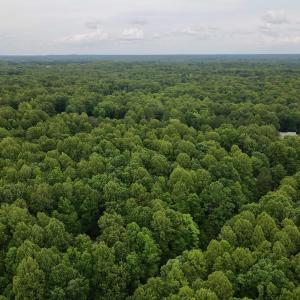 Photo #16 of 1535 Wildwood Drive, Oxford, NC 1.9 acres