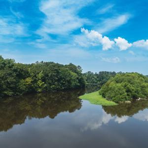 Photo #12 of 112 Acres Mill Road, Emporia, VA 112.0 acres