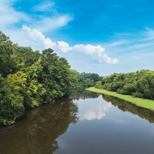 Photo #13 of 112 Acres Mill Road, Emporia, VA 112.0 acres