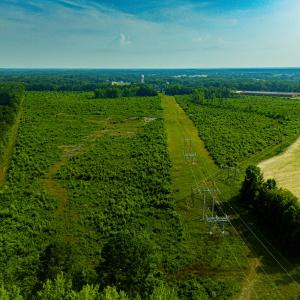 Photo #16 of 112 Acres Mill Road, Emporia, VA 112.0 acres