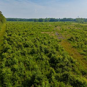 Photo #17 of 112 Acres Mill Road, Emporia, VA 112.0 acres