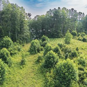 Photo #19 of 112 Acres Mill Road, Emporia, VA 112.0 acres