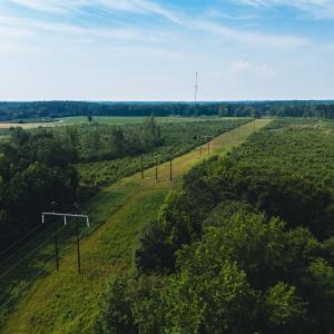 Photo #21 of 112 Acres Mill Road, Emporia, VA 112.0 acres