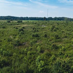 Photo #23 of 112 Acres Mill Road, Emporia, VA 112.0 acres