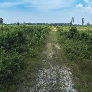 Photo #24 of 112 Acres Mill Road, Emporia, VA 112.0 acres