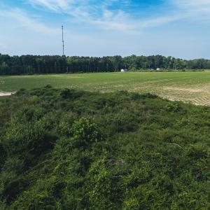 Photo #28 of 112 Acres Mill Road, Emporia, VA 112.0 acres