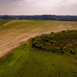Photo #30 of 112 Acres Mill Road, Emporia, VA 112.0 acres