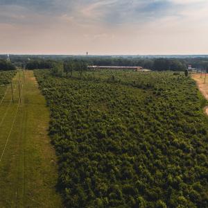 Photo #31 of 112 Acres Mill Road, Emporia, VA 112.0 acres