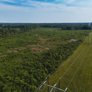 Photo #32 of 112 Acres Mill Road, Emporia, VA 112.0 acres