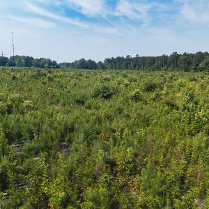 Photo #33 of 112 Acres Mill Road, Emporia, VA 112.0 acres