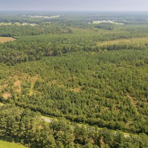 Photo #1 of Off Fountaintown Road, Beulaville, NC 28.6 acres