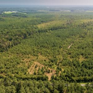 Photo #3 of Off Fountaintown Road, Beulaville, NC 28.6 acres