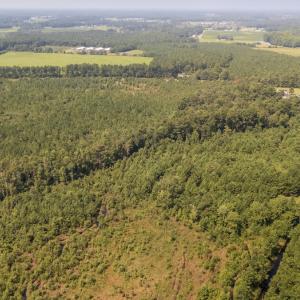 Photo #9 of Off Fountaintown Road, Beulaville, NC 28.6 acres