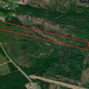 Photo #13 of Off Fountaintown Road, Beulaville, NC 28.6 acres