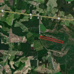 Photo #14 of Off Fountaintown Road, Beulaville, NC 28.6 acres