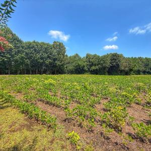 Photo #46 of off Hwy 70 W, Goldsboro, NC 10.0 acres