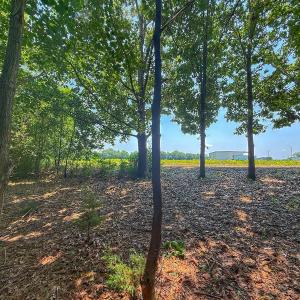 Photo #48 of off Hwy 70 W, Goldsboro, NC 10.0 acres