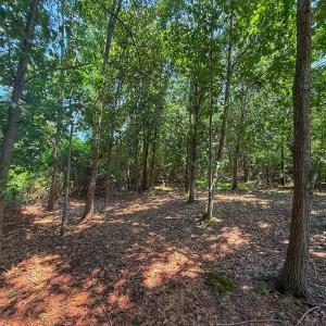 Photo #49 of off Hwy 70 W, Goldsboro, NC 10.0 acres