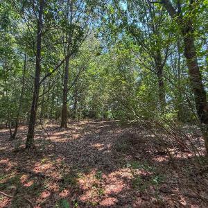 Photo #51 of off Hwy 70 W, Goldsboro, NC 10.0 acres