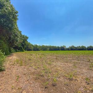 Photo #53 of off Hwy 70 W, Goldsboro, NC 10.0 acres