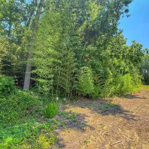Photo #54 of off Hwy 70 W, Goldsboro, NC 10.0 acres