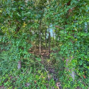 Photo #55 of off Hwy 70 W, Goldsboro, NC 10.0 acres