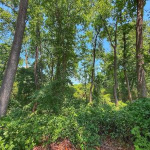 Photo #56 of off Hwy 70 W, Goldsboro, NC 10.0 acres