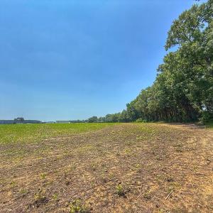 Photo #57 of off Hwy 70 W, Goldsboro, NC 10.0 acres
