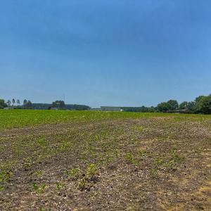 Photo #58 of off Hwy 70 W, Goldsboro, NC 10.0 acres
