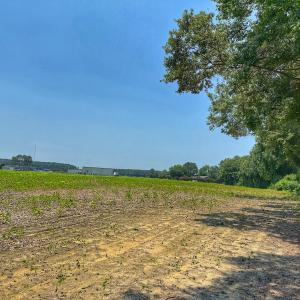 Photo #59 of off Hwy 70 W, Goldsboro, NC 10.0 acres