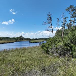 Photo #7 of 175 North Berne Landing Road, New Bern, NC 3.5 acres